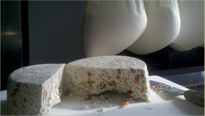 cheese wheel on board and cheese bags